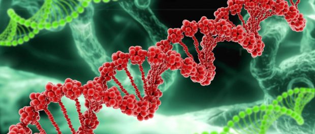 genetic test