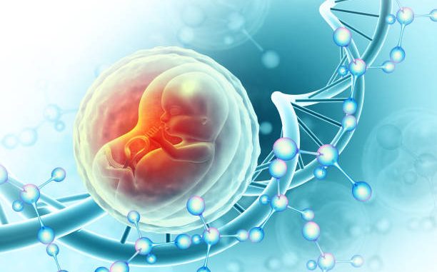 Fetus with dna on scientific background. 3d illustration