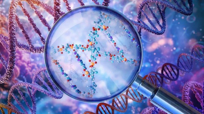 DNA
