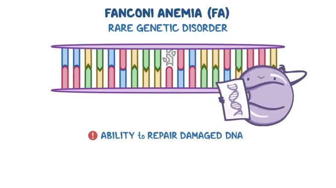 Fanconi-Anemia