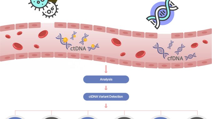 ctDNA